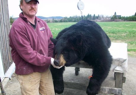 Man Holding A Black Bear
