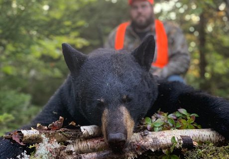 Man With A Hunted Black Bear
